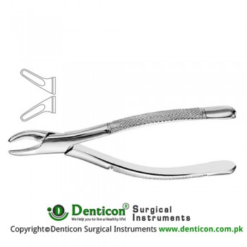 Cryer American Pattern Tooth Extracting Forcep Fig. 151 (For Lower Incisors, Canines, Premolars and Roots) Stainless Steel, Standard